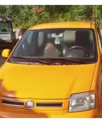 FIAT Panda 4x4 1.3 multijet FIAT Panda 4x4 1.3 multijet