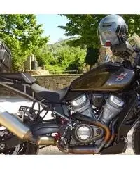Harley davidson pan america standard 2021