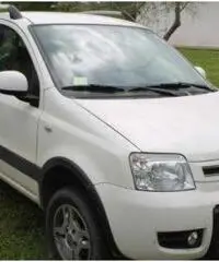 Panda Fiat 4X4 1.3 climbing Multijet anche neopatentati - Viterbo