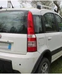 Panda Fiat 4X4 1.3 climbing Multijet anche neopatentati - Viterbo