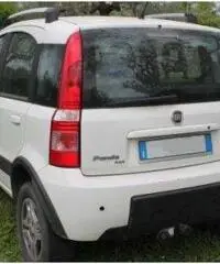 Panda Fiat 4X4 1.3 climbing Multijet anche neopatentati - Viterbo