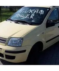 FIAT PANDA METANO - Lucca