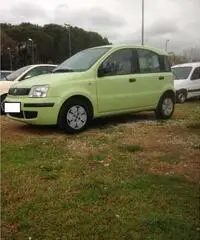 FIAT PANDA - Roma