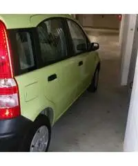 Panda Young - Livorno