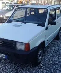 Fiat Panda - Carrara