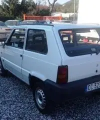 Fiat Panda - Carrara