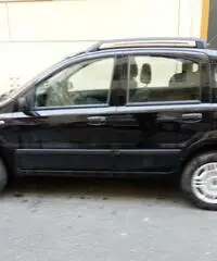 Fiat Panda - Livorno