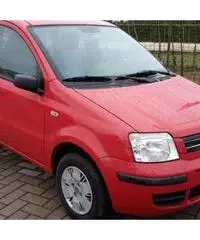 FIAT PANDA 1.3 M.JET DEL 2008 - Lucca