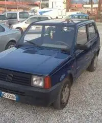 Fiat Panda - Carrara