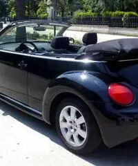 New Beetle Cabrio/Roadster 1.4 16V - Campania New Beetle Cabrio/Roadster 1.4 16V - Campania