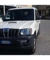 AUTOCARRO GOA DC CON HARD TOP - Firenze AUTOCARRO GOA DC CON HARD TOP - Firenze