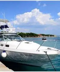 BOSTON WHALER 34 DEFIANCE BOSTON WHALER 34 DEFIANCE