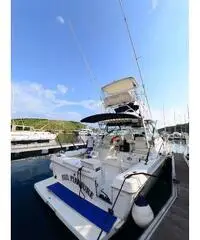 BOSTON WHALER 34 DEFIANCE BOSTON WHALER 34 DEFIANCE