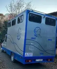 Van Trasposto cavalli Van Trasposto cavalli