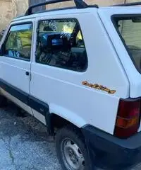 FIAT Panda 2ª serie - 2000 FIAT Panda 2ª serie - 2000