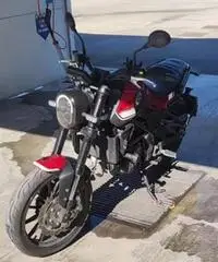 Benelli Leoncino 250 Benelli Leoncino 250