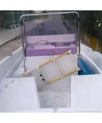 Barca Open e motore Johnson 25 cv con carrello alaggio motor Barca Open e motore Johnson 25 cv con carrello alaggio motor