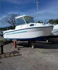 Saver 498 cabin fisher