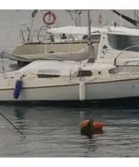 Barca a vela semicabinata BWC (DE) 20 Ft