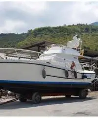 Calafuria 36 Calafuria 36