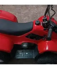 Mini Quad 4 Tempi Mini Quad 4 Tempi