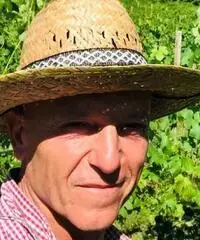 Lavoro in vigna Lavoro in vigna