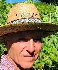 Lavoro in vigna Lavoro in vigna