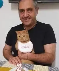 Lavapiatti e pulizie generiche Lavapiatti e pulizie generiche