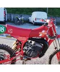 Beta 250 Beta 250