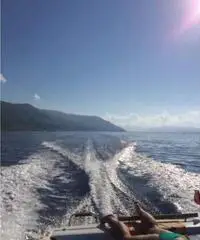 Cranchi derby 216 volvo penta aq271c /duoprop