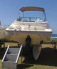 IMBARCAZIONE DORAL 230 CC IMBARCAZIONE DORAL 230 CC