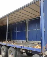 250 X Vanhool 3B0072 TUV XL 250 IN AZIONE DEL 2008