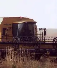 Mietitrebbia NEW HOLLAND TX68 plus Seminuova 1999