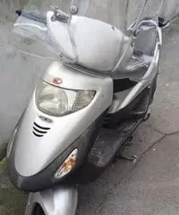 Scooter 100