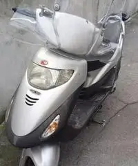 Scooter 100 Scooter 100