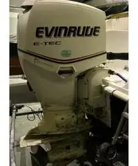 Evinrude 90 I-tec