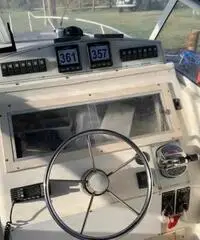 Mako marine 293 Mako marine 293