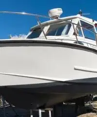 Calafuria 8 big game daycruiser