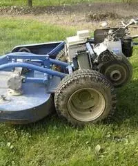 Taglia erba BCS 701