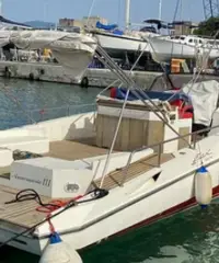 Fiart 33 SEA WALKER Fiart 33 SEA WALKER