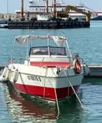 Fiart 33 SEA WALKER Fiart 33 SEA WALKER
