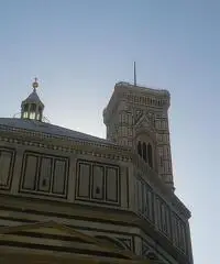 Cercasi colf Cercasi colf