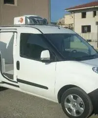 FIAT DOBLO' ISOTERMICO FRIGO COIBENTATO ANNO 2010