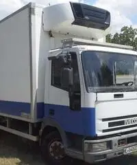 EUROCARGO 75E18 ANNO 2002 FRIGO CON GANCIERE CARNE EUROCARGO 75E18 ANNO 2002 FRIGO CON GANCIERE CARNE