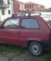 Panda autocarro