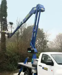 Muratore Muratore