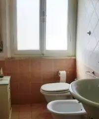 Cecina Mare con giardino e p. auto anche lungomare Cecina Mare con giardino e p. auto anche lungomare