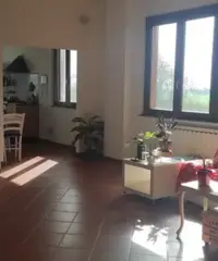 Stanza per studentesse 300 euro zona Coroncina