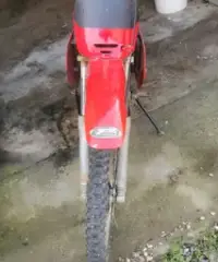 Beta Minicross - 2019 Beta Minicross - 2019