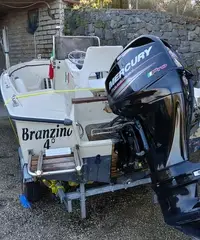 Barca tonnetto motore Mercury 40